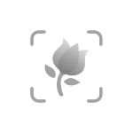 PictureThis Logo (Copywriting for SaaS Startup)
